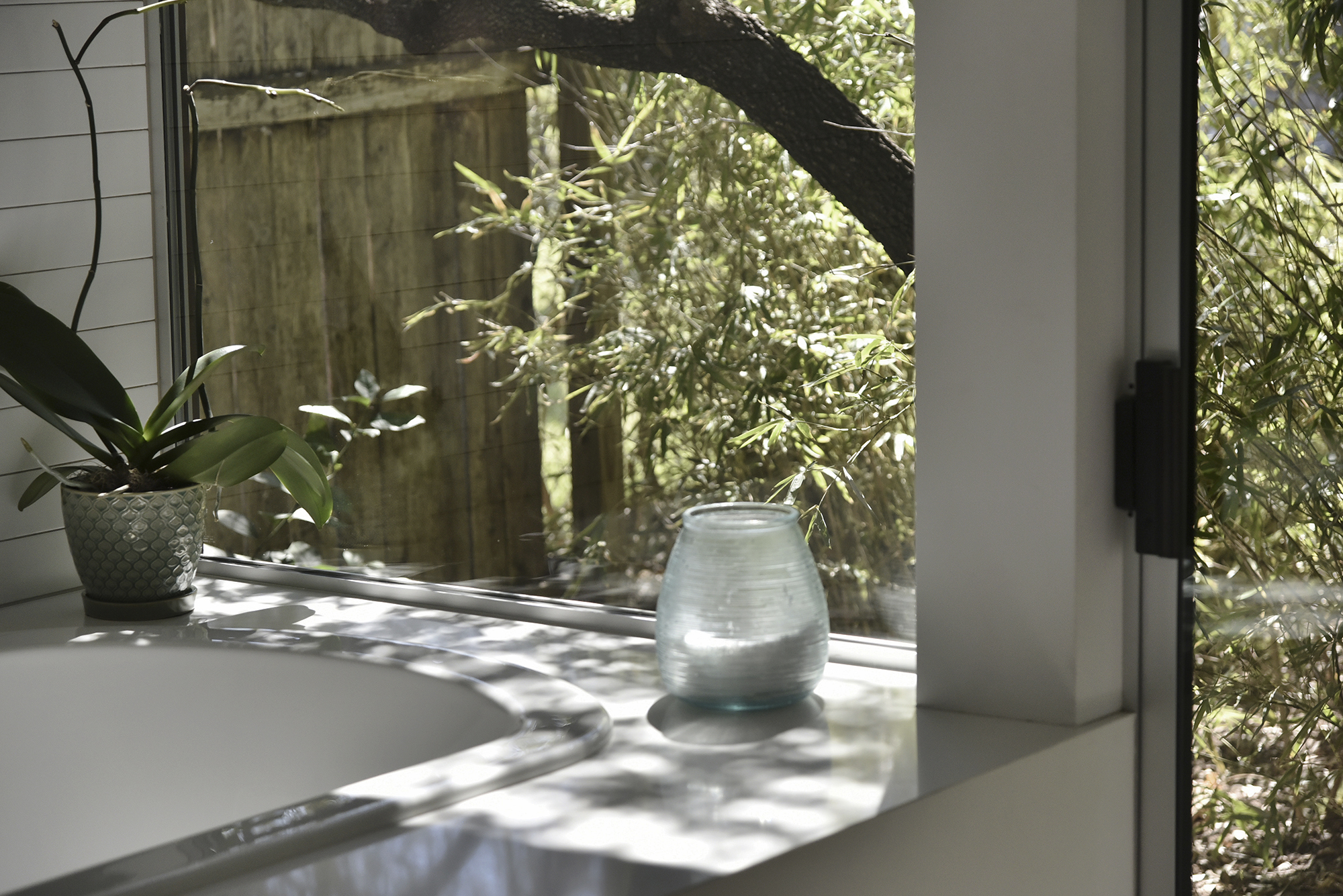 RENDERATX WEB02511